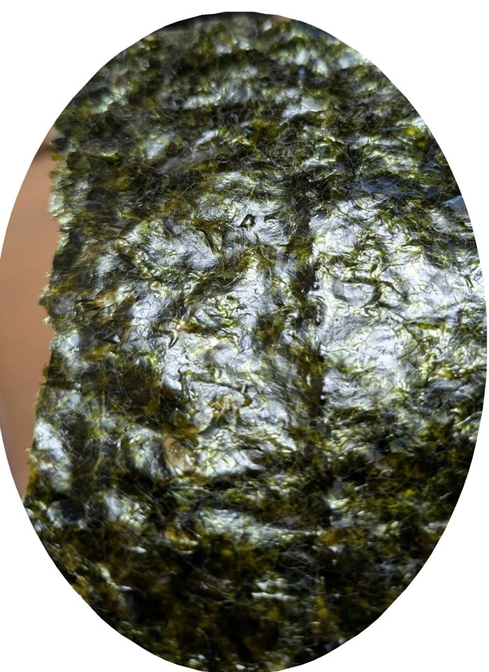 �����ݡ֡㽩����֡俷���š�����դäġ������ո�������ġ������10���