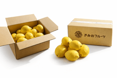 �֤��ߤΥ���פ�������