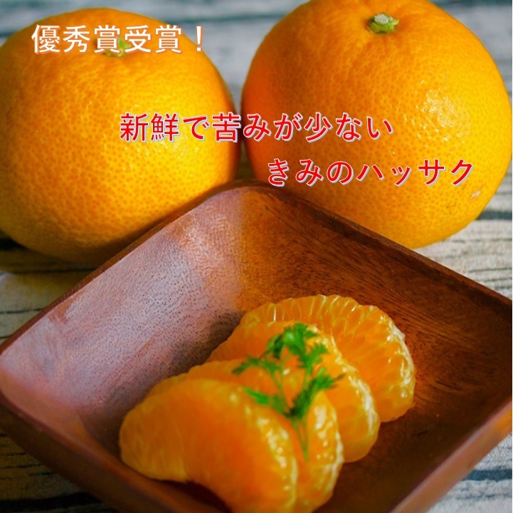 ¡ã1·îËö¡Á3·î¾å½ÜȯÁ÷¡ä¡Ö¤¤ß¤Î¥Ï¥Ã¥µ¥¯¡×¡¡¤´²ÈÄíÍÑ