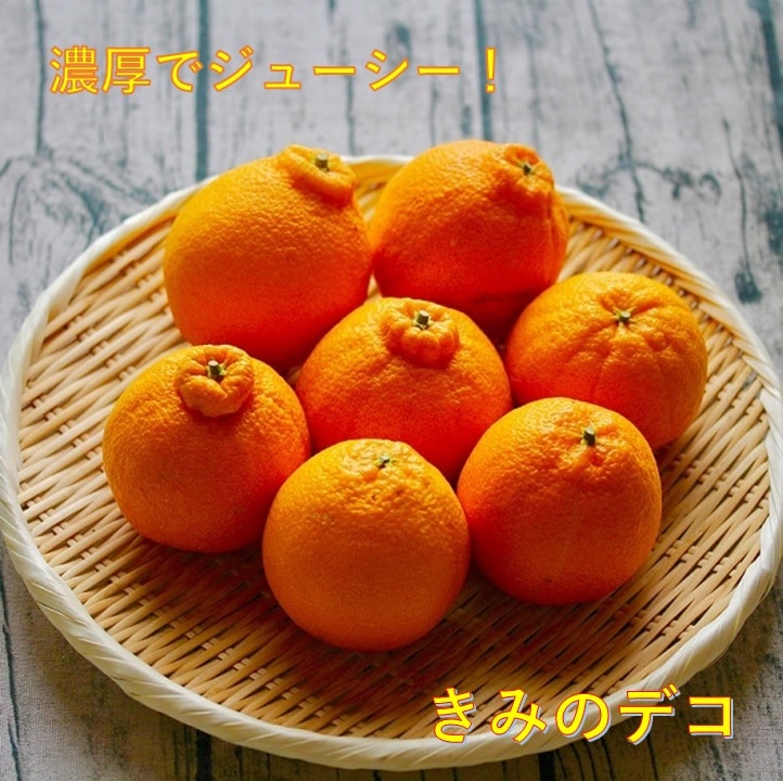 ＜4月～発送＞　「きみのデコ」　ご家庭用