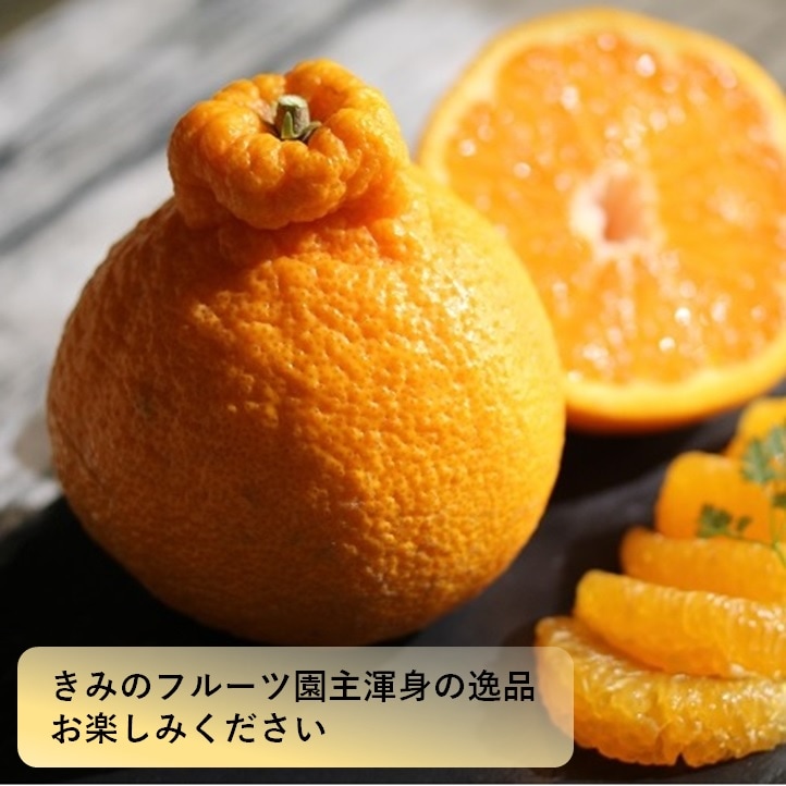 「きみのデコ」贈答用　【特選  6玉　化粧箱入り】