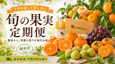 すべての商品 | きみのフルーツ
