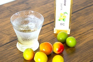 きみの梅シロップ ～紀州南高梅シロップ～ | すべての商品 | きみの