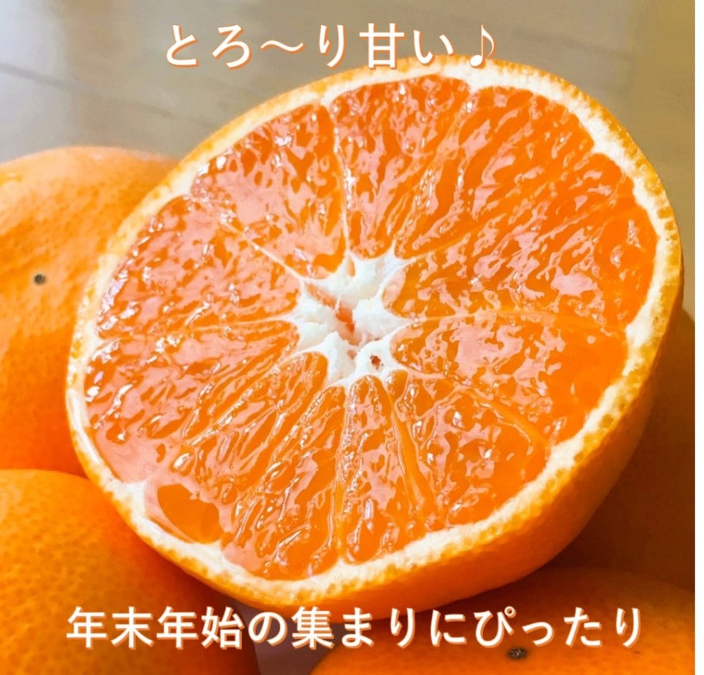 <12月中旬～発送> 「きみの完熟ミカン」　ご家庭用　