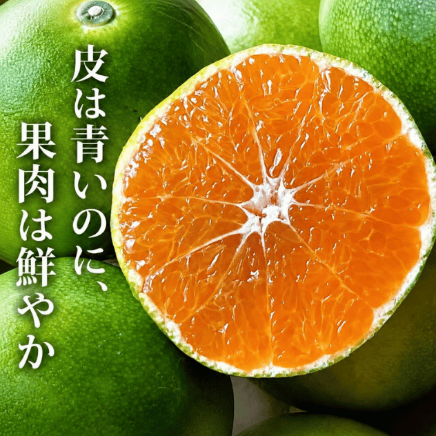＜9月下旬～10月中旬発送＞「きみのミカン」（YN26）