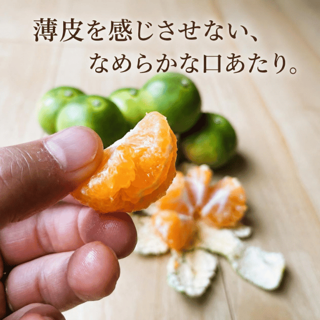 ＜9月下旬～10月中旬発送＞「きみのミカン」（YN26）