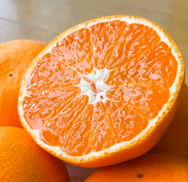 ��<<���ߤΥե롼�ġ�����ء�>>1ǯʬ��10�󥳡�����