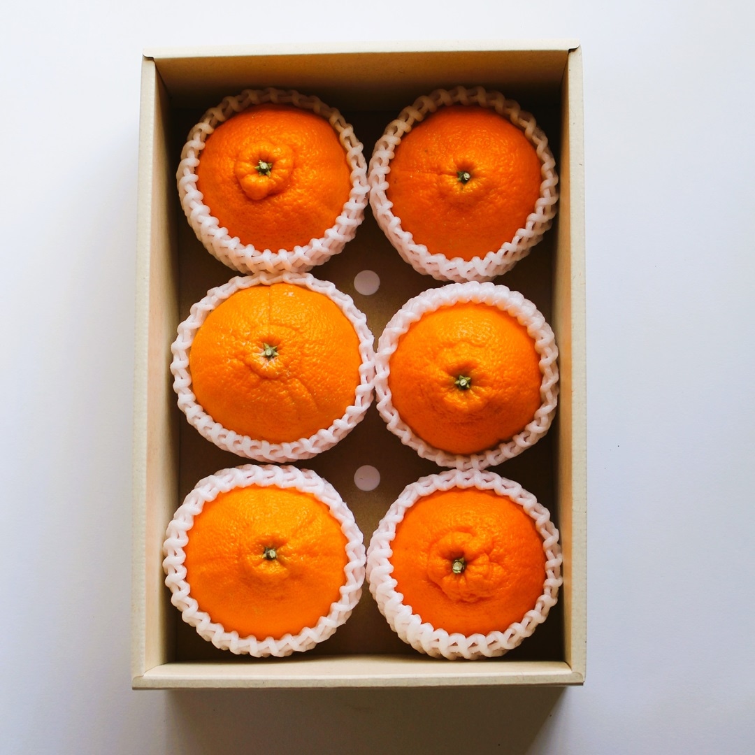 �֤��ߤΥǥ���£���ѡ�������  6�̡�����Ȣ�����