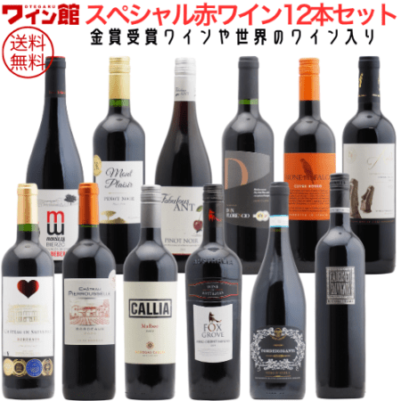 【送料無料】＜第86弾＞スペシャル赤ワイン12本セット（赤12本）フランス イタリア スペイン チリ オーストラリア アルゼンチン ハンガリー ステイホーム 宅飲み お得 コスパ
