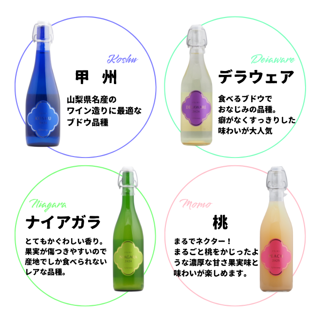 【 送料無料 】クラノオト [2025] 4種類セット （白4本）フジクレールワイナリー