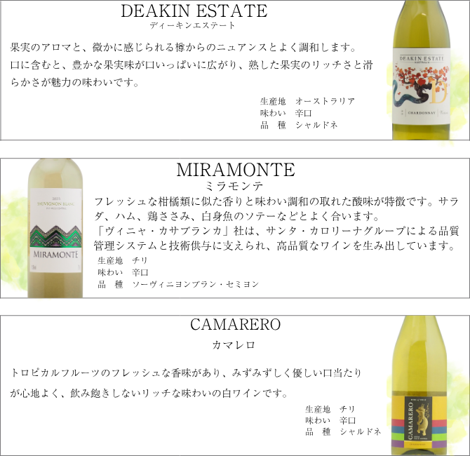 【送料無料】＜第66弾＞スペシャル白ワイン12本セット（白12本）