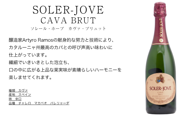 【送料無料】＜第25弾＞スペイン産CAVAカヴァ5本セット（白泡5）