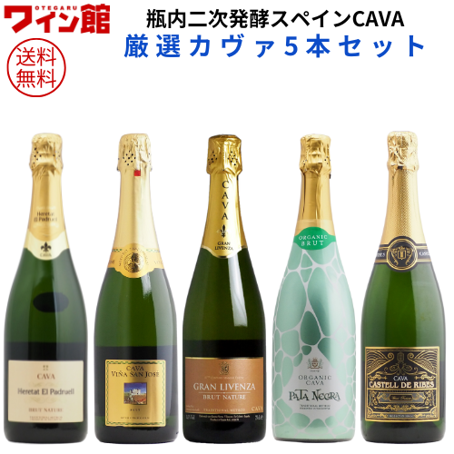 【送料無料】＜第24弾＞スペイン産CAVAカヴァ5本セット（白泡5）