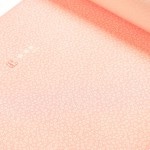 �ڶ��� ���۹��;��桡�����������ˡ�����Ω���ǹ�������̵����