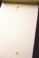 �ǹ��ð�������������Ԥ������ɽ���