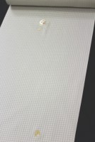 �ǹ��ð���������ֻɽ������Ԥ�����