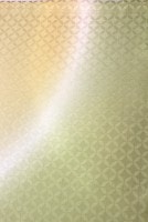 ð��������ͧ���������Ȥ��ּ�����Ⱦ�ߤܤ�����