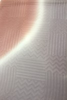 ð��������ͧ���������Ȥ��ֻԾ������ؤ�Ⱦ�ߤܤ�����