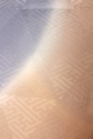ð��������ͧ���������Ȥ��ֻ��Ѽ�ꤵ�䷿��Ⱦ�ߤܤ�����