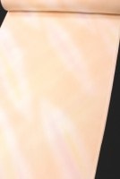 �ǹ������Ĺ��ּۡФ�ܤ�����