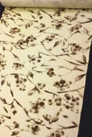 �������ܡ����ᡡ��ƺ��