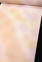 �ǹ������Ĺ��ۡ�ƻĹ�ܤ�����