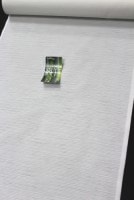 ��쥷��å����ݲ�ʪĹ��ۡ�帡�