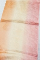 ��ͧ���������Ȥ���ή�������˽Ĥܤ�����