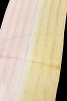 �����β�ʪ������Ȥ��ֽĤܤ�����