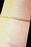 �����β�ʪ����Ȥ��ֽĤܤ�����ή��ʤǤ�����