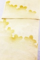 �����β�ʪ����Ȥ��ֲ�ȤʤǤ����˺���