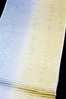 �����β�ʪ����Ȥ���ή����Ϫ����Ҥ�����ʬ���ܤ�����