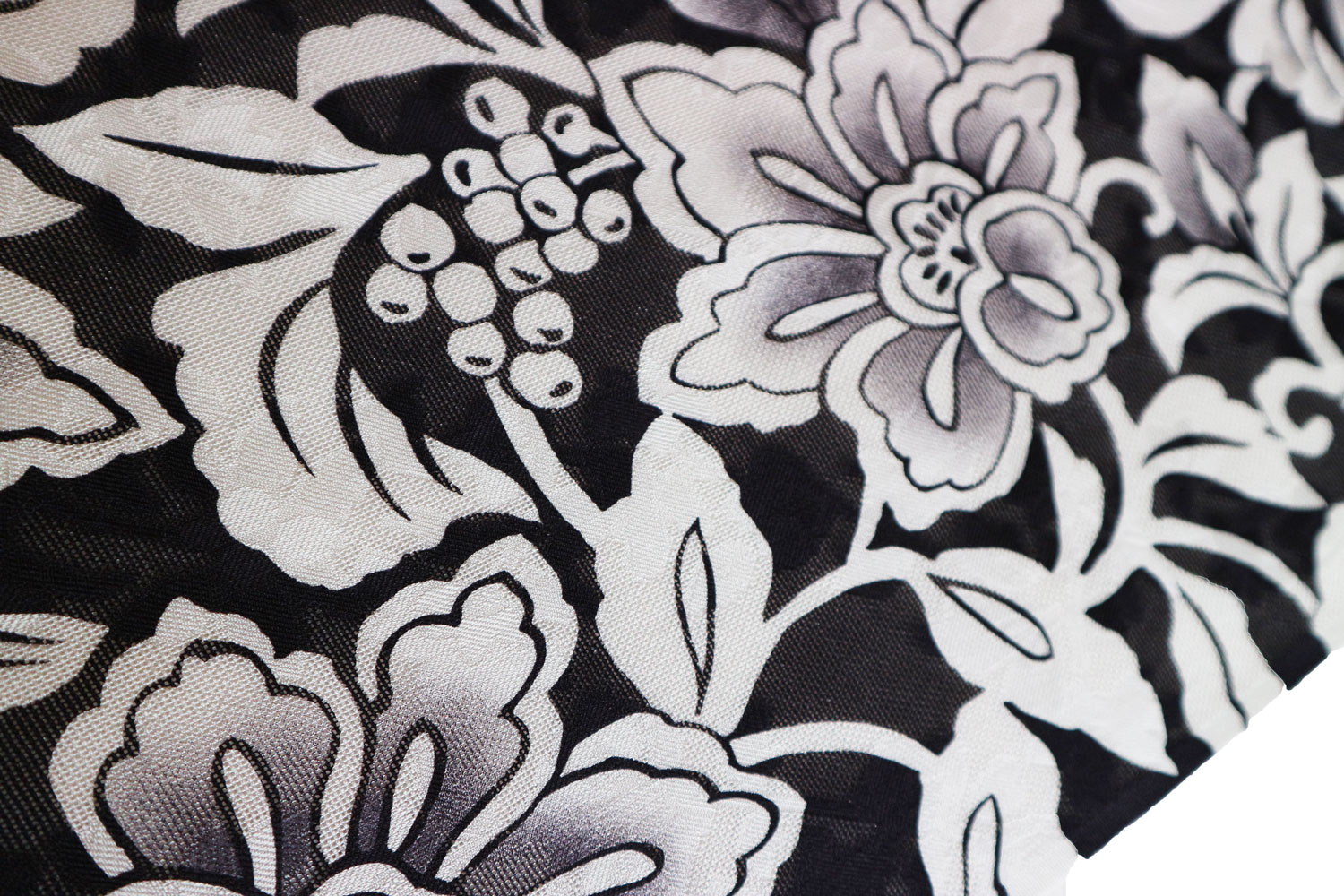 �����β�ʪ�����ܡֵ�ͧ���������������֡�