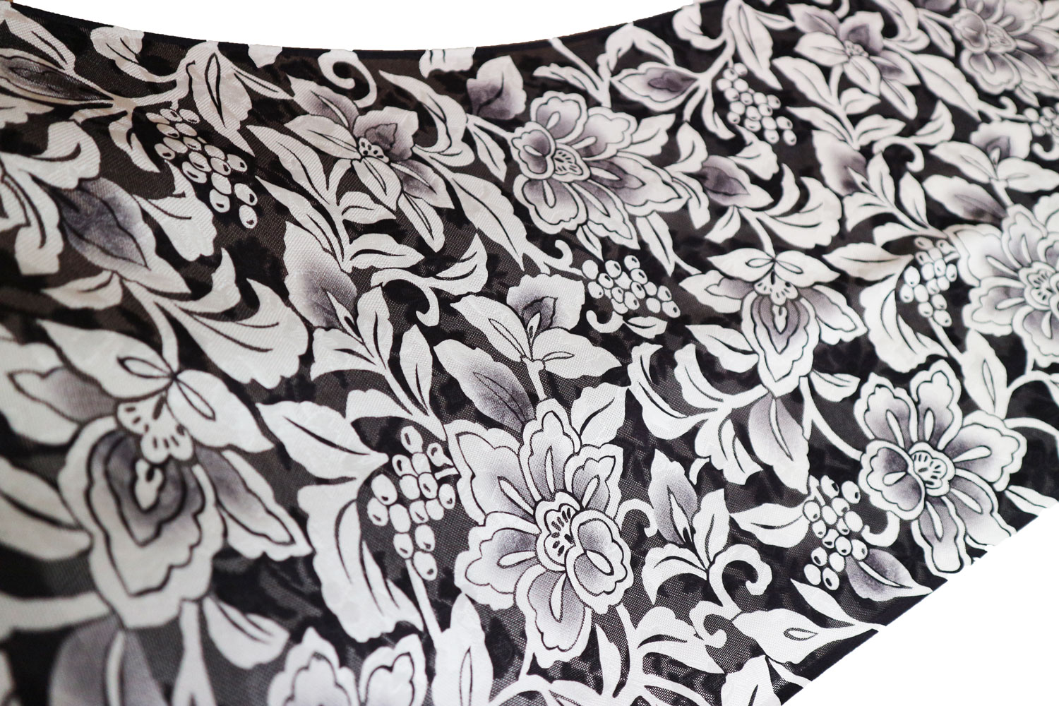 �����β�ʪ�����ܡֵ�ͧ���������������֡�