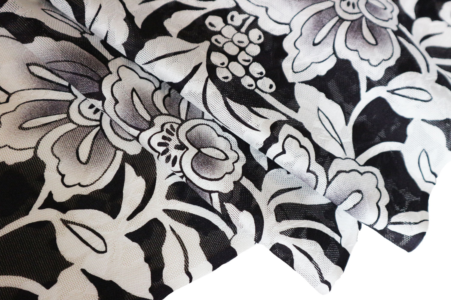 �����β�ʪ�����ܡֵ�ͧ���������������֡�