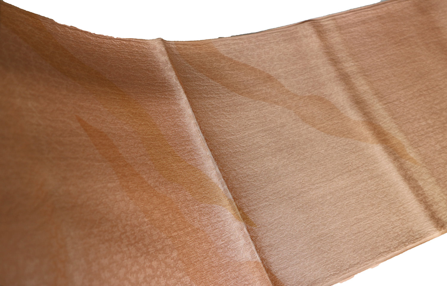 �ǹ���ͧ���������Ȥ���ƻĹ��