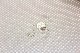 �ǹ��ð���������ֻɽ������Ԥ�����