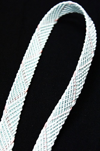 ����ɳ������ʪ������ֿ忧�˥ԥ󥯡�