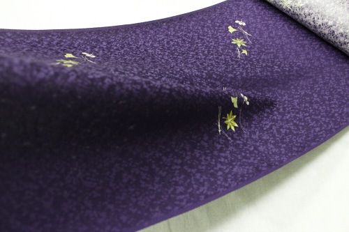 �ǹ��������������������դ˶�ɤ�����