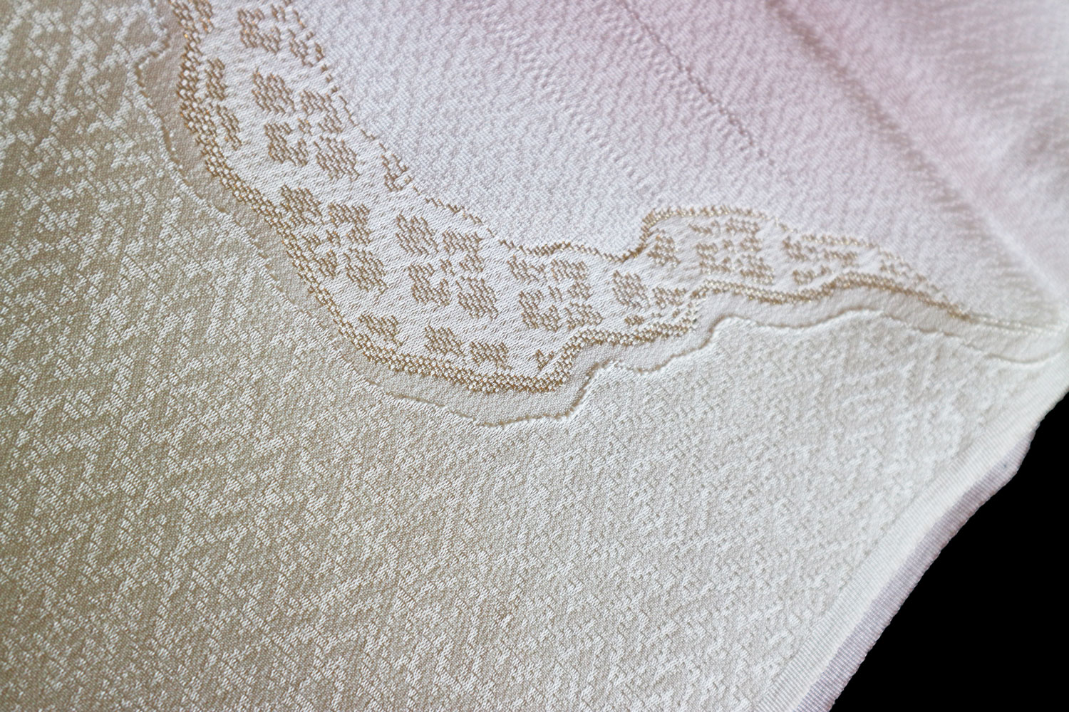 �ǹ��ð����������Ȥ���ƻĹ�ܤ�����˥����ꡡ��ɩ��