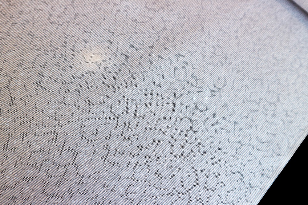 �����β�ʪ�����ܡֵ�ͧ�����Ф���������˷֥ܥ����ס�