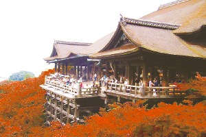 11/6���ξָ�Ͻ�������α�ͷ��ʴ��츩����ԡ�