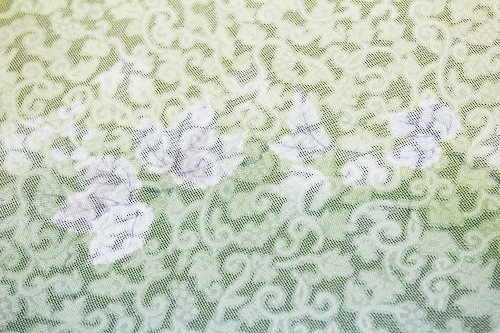 �����β�ʪ�����ܡ�ή��ܤ�������֤�����˵�ͧ���ա�