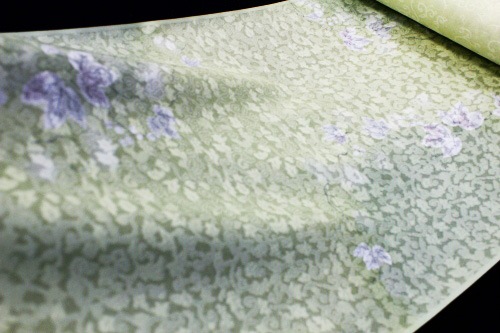 �����β�ʪ�����ܡ�ή��ܤ�������֤�����˵�ͧ���ա�