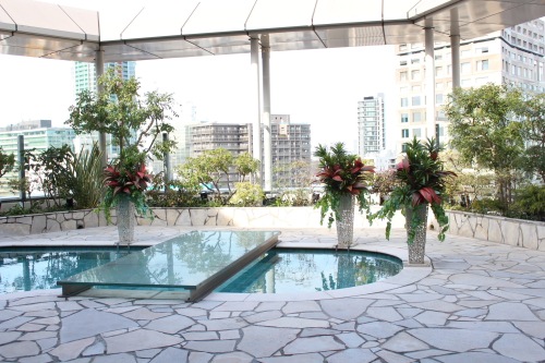 111 Υӥ塼ƥѡƥԽë