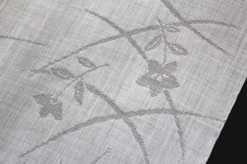 �ȥ����㺮��ʪĹ��ּۡǤ˵˹���