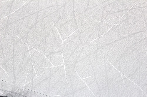 �ǹ��ð��������ɹ��פ��Ф����ᡦ������Ω