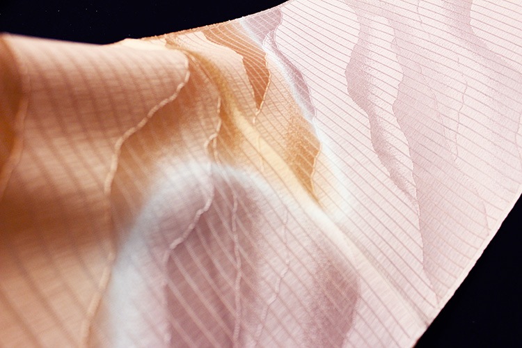 �����β�ʪ����Ȥ��֤ܤ�����ή���