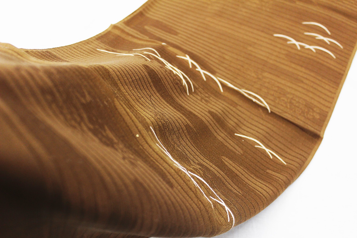 �����β�ʪ����Ȥ��ֲ�˹���Ϫ�ǡ�