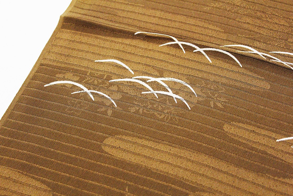 �����β�ʪ����Ȥ��ֲ�˹���Ϫ�ǡ�